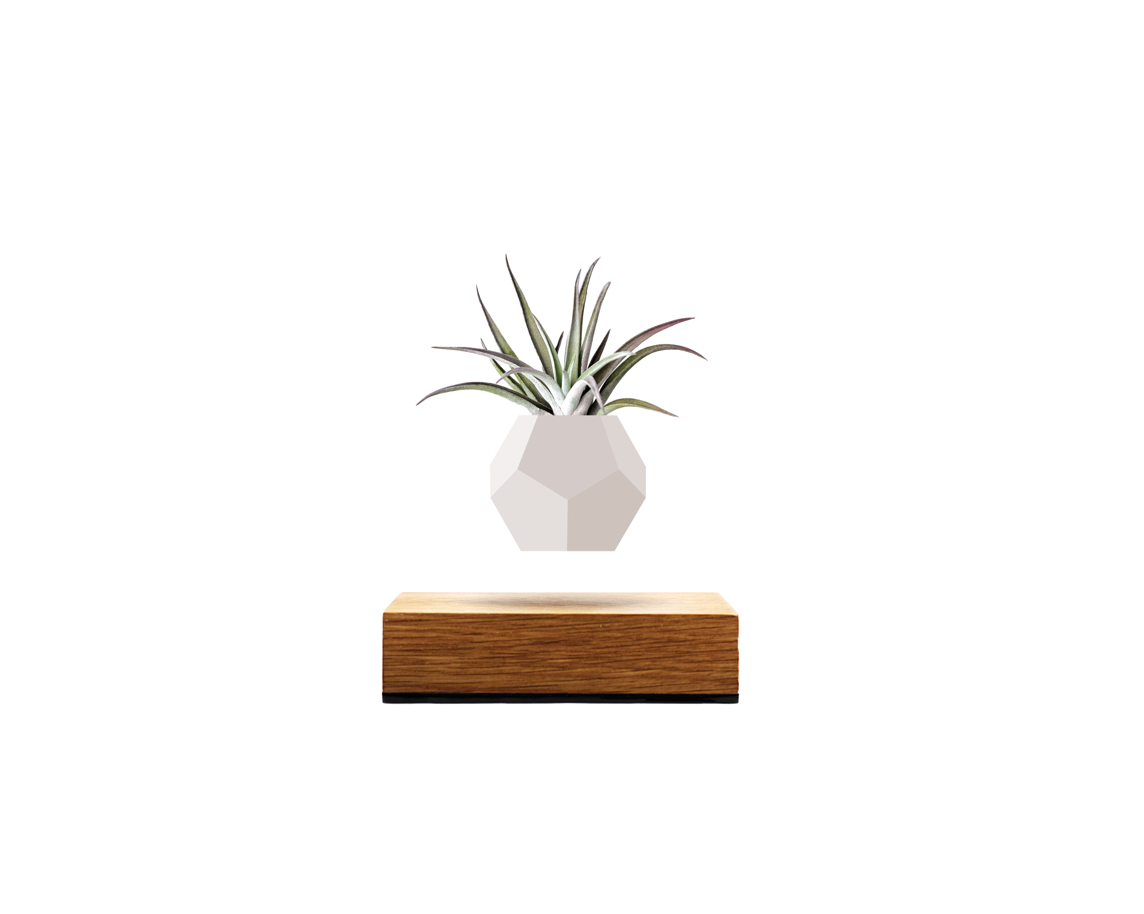lyfe levitating plant pot Lyfe Planter – Black Fodder Coffee